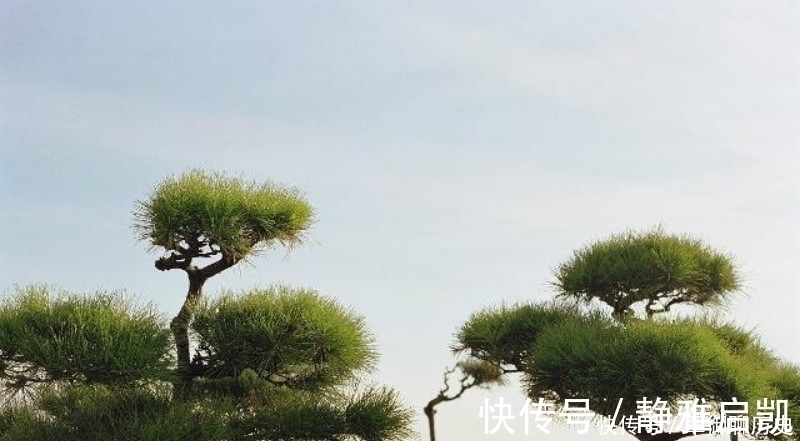 唐诗@一首充满哲理的唐诗,通篇短短的28个字,读来却是令人赞叹!