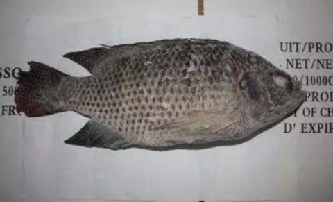 种鱼|宝宝吃鱼更聪明这7种鱼,一口都不能给宝宝吃