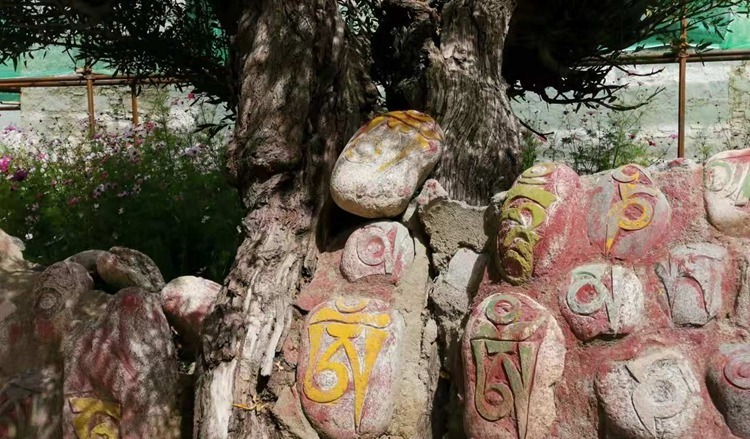 宝藏|邂逅有1300余年历史的藏文创始人吞米桑布扎故居!