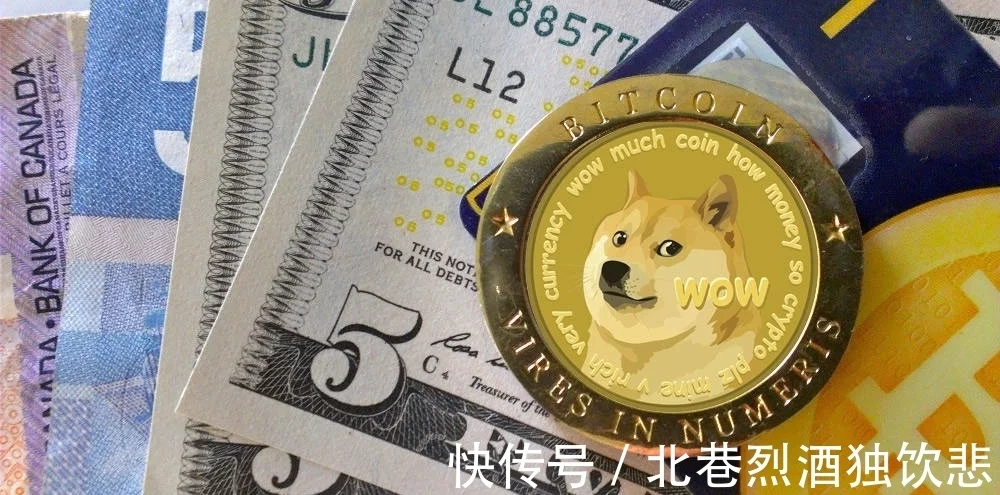 狗狗币暴涨：为什么是仅次于比特币的全球第二大虚拟货币，暴涨1400%？