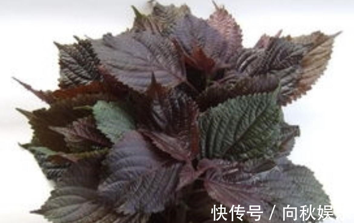 盖被子|夜里睡觉不盖被子,女儿着凉流鼻涕,我这样做