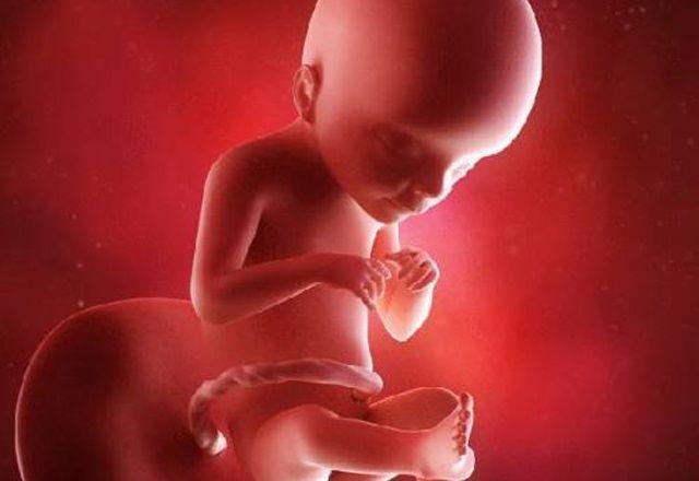 胎儿|胎儿有心跳后,不管因为什么都别打掉他,医生引产过程太残忍