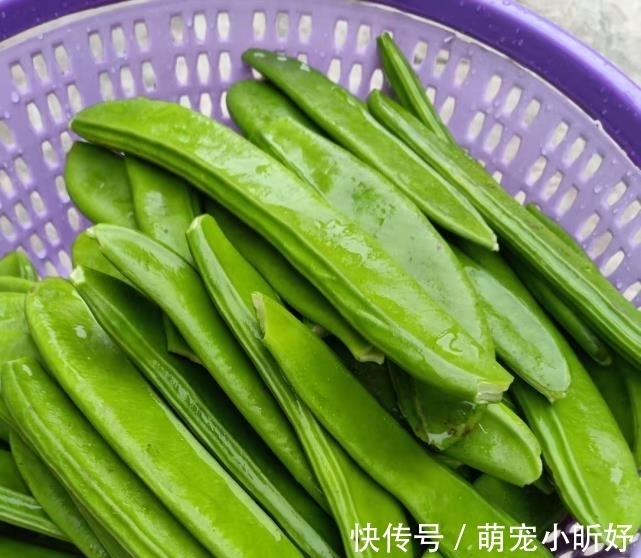 最补钙的食物是它，正当季，一盘等于10个鸡蛋，孩子长个头不长肉