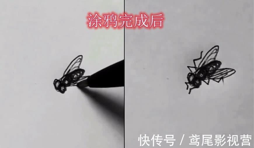 苍蝇|开始以为在胡乱涂鸦,当美术生画完后,网友:对不起,打扰了!