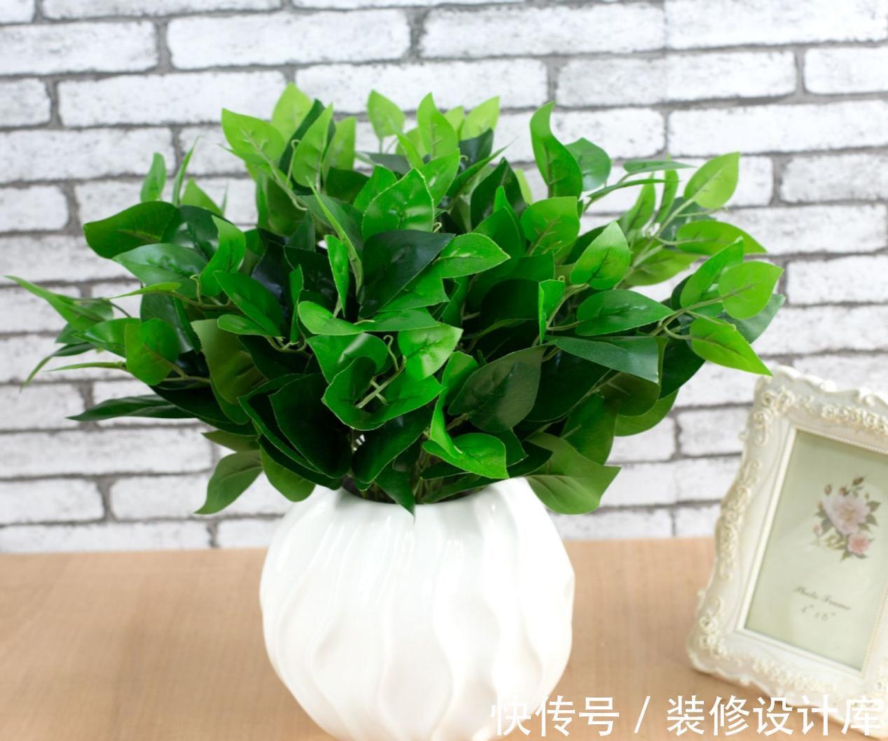 植物|浇花,用好这4种“水”,效果就像打了激素,刺激植物疯长