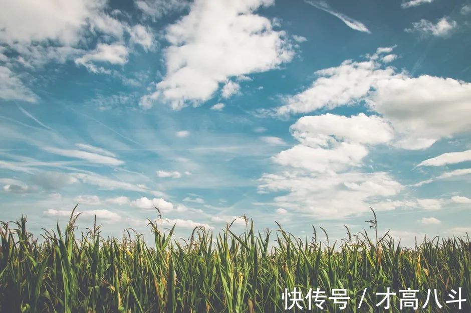 杜甫@诗词中的“浮云”:浮云一别后,流水十年间!