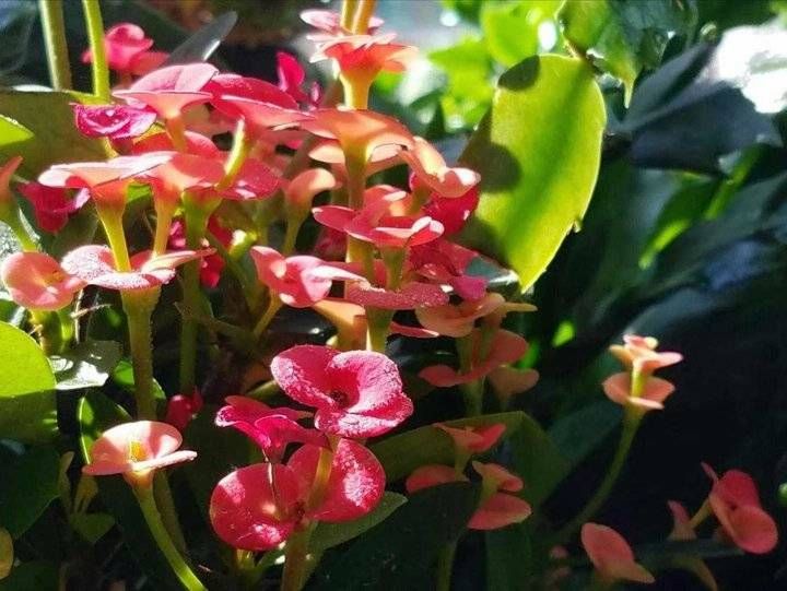 立行$青未了｜立春，立行，立争做最好的自己