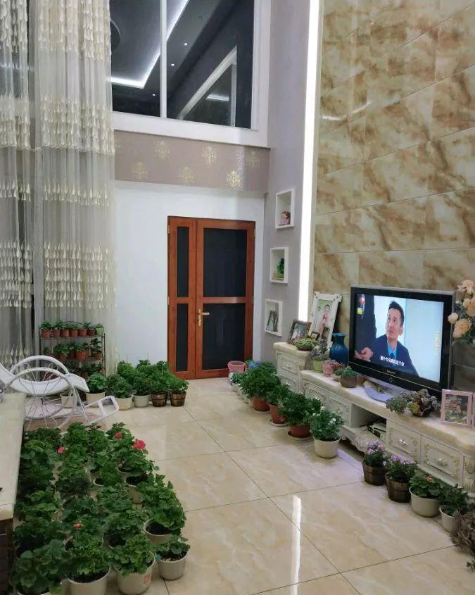 养花技巧:大冬天,她家的小院开满200盆花,全家人过年围着看!