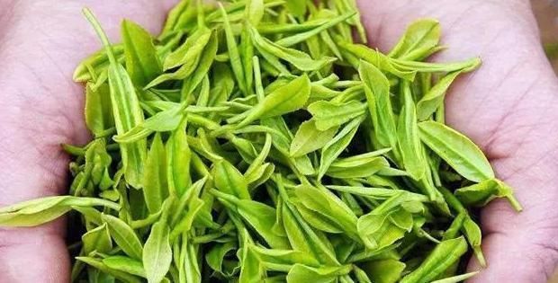 减肥|只吃不胖的四样食材，加快脂肪的消耗，帮你轻松拥有迷人身姿！