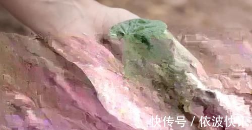 兰友|营养土的自制方法,兰友说:这样就简单了,明天开始做