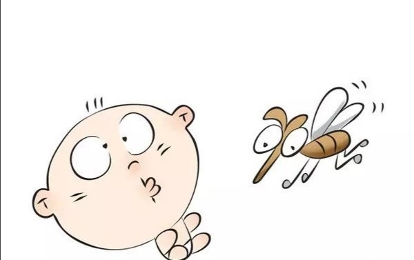 妙招|夏季宝宝防蚊虫叮咬的小妙招!