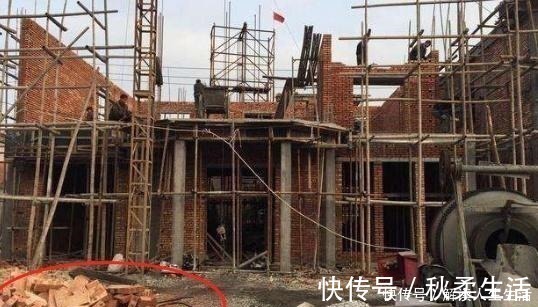 百科|工地上的这“2物”,是养花的宝贝,随手捡点回家,营养土不用买!