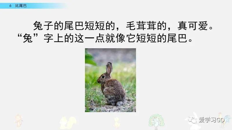 一年级|部编版一年级上册第6课《比尾巴》图文讲解+知识要点
