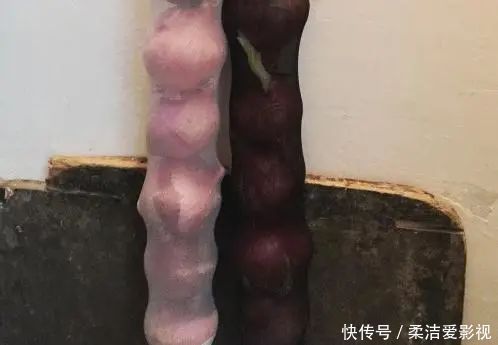 支架|它是能吃的“血管支架”，便宜得不得了！每天一颗，血管干干净净