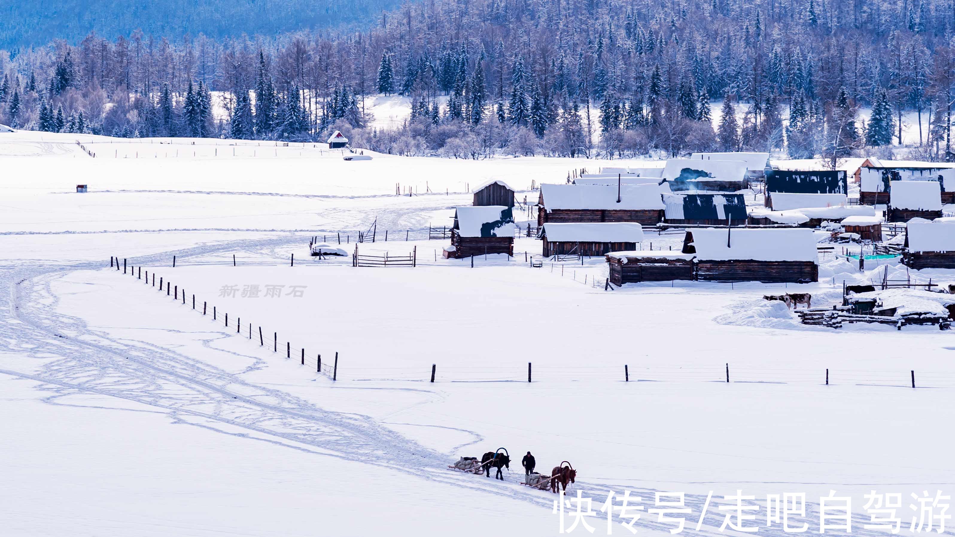 图瓦人|这里被称为“神的自留地”，一年有365天就美了365天，尤其在冬季