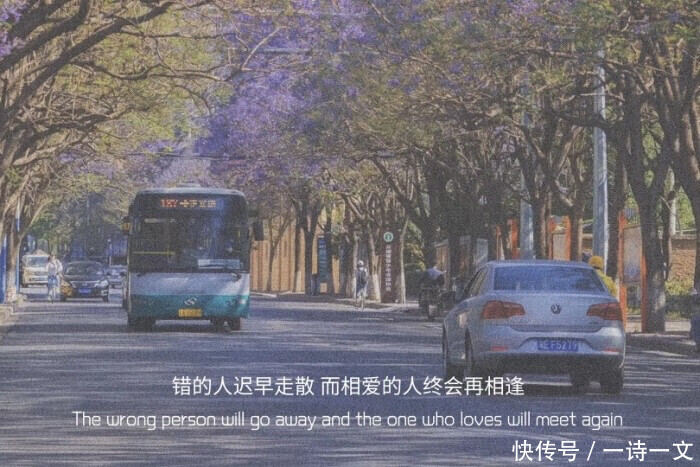 星河璀璨,阳光干净,愿人间所有美好都在你的身边