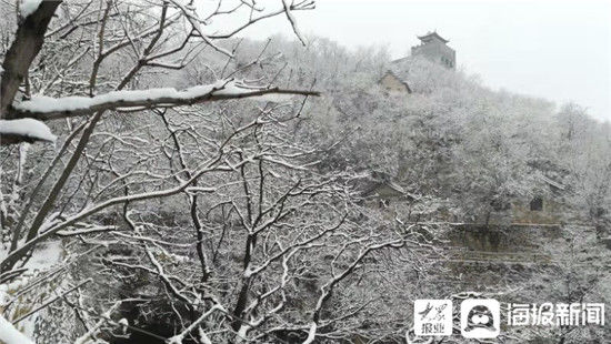 初雪 淄川美的不像话却像画|组图 | 初雪