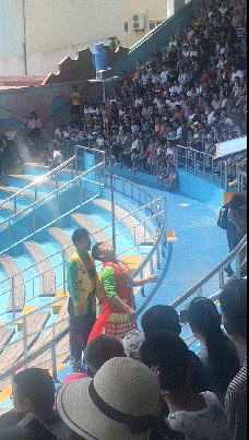 |搞笑GIF:这才是男人之间应有的默契