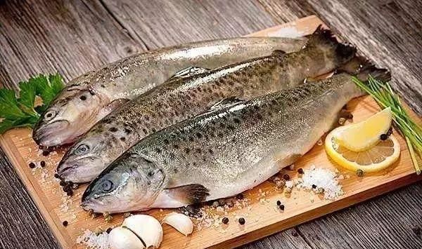 吃了几十年鱼,才知道原来鱼还可以这样吃,味道更鲜美