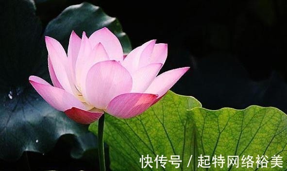 福运$老祖宗:积“阴德”的3件事,常做福运不请自来,你做了几件?