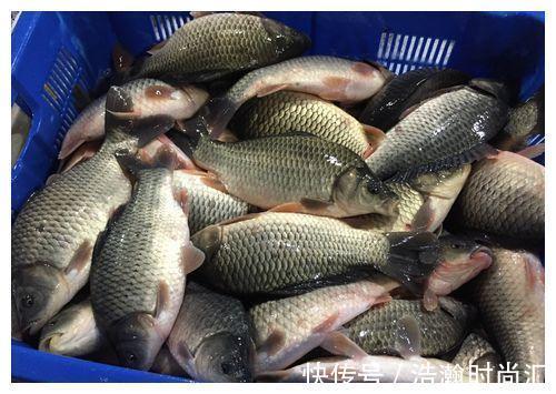 鱼类|请停止食用这4种鱼,可能含有甲醛和重金属,建议转给家里人看看