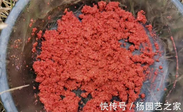 饵料|秋天是钓大鱼的好季节，守钓大鱼，用什么味型的饵料最广谱？