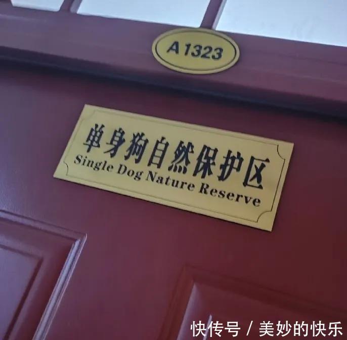 |大学生的宿舍门牌有多搞笑,最后一个过分了!我都想串门去了!