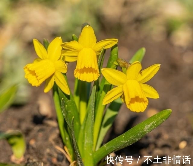 人大多|桃花盛开，前任回头，痴情等待，相濡以沫，永不分开