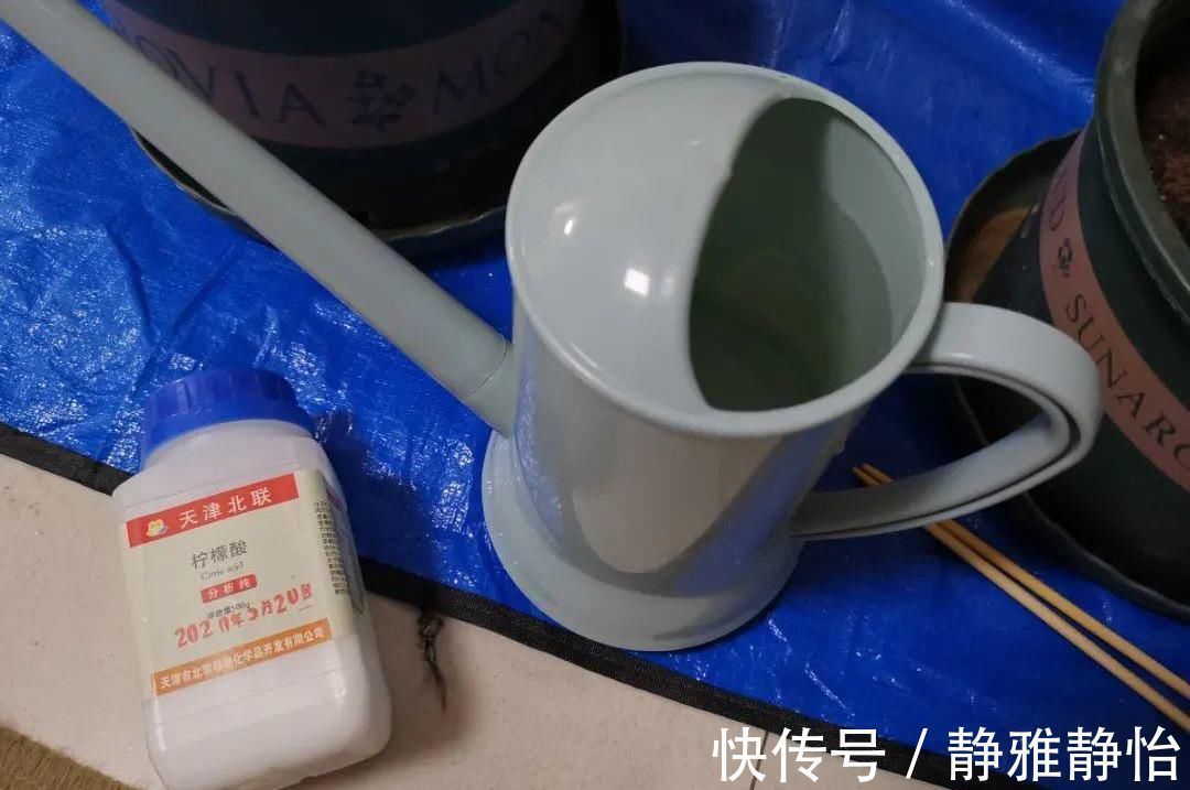 柠檬酸|花盆里长出“白碱”不是好事,对花草危害大,学会这5个处理方法