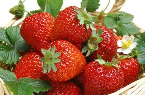 草莓|原来子宫肌瘤怕“它们”,女人三天两头食用,子宫肌瘤全不见