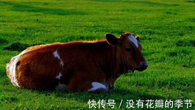 内蒙古牛肉干质量没问题却惨遭退货,商家直呼冤枉,网友:都没错