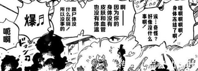 索隆|海贼王997话布鲁克暗示索隆有霸王色,马尔科即将对上King