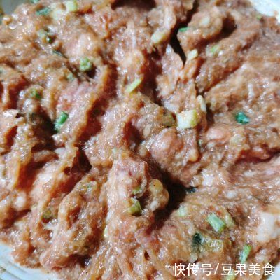 #精致一人食#萝卜丝肉饼