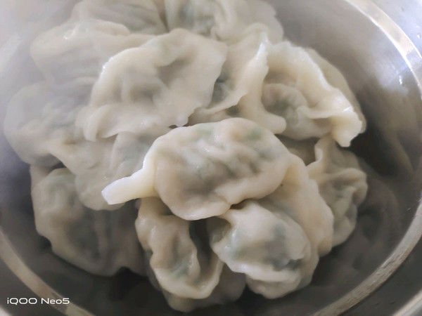 肉饺子|韭菜肉饺子