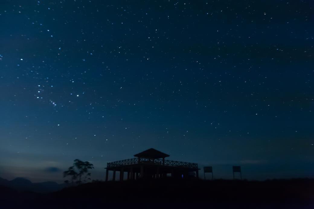 星空|芦花飞“雪”！秋末初冬的限定美景，再不来打卡可就要错过啦！