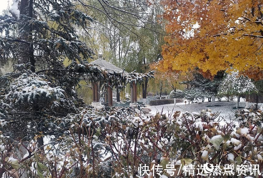 呼和浩特市|内蒙古呼和浩特市迎来初雪