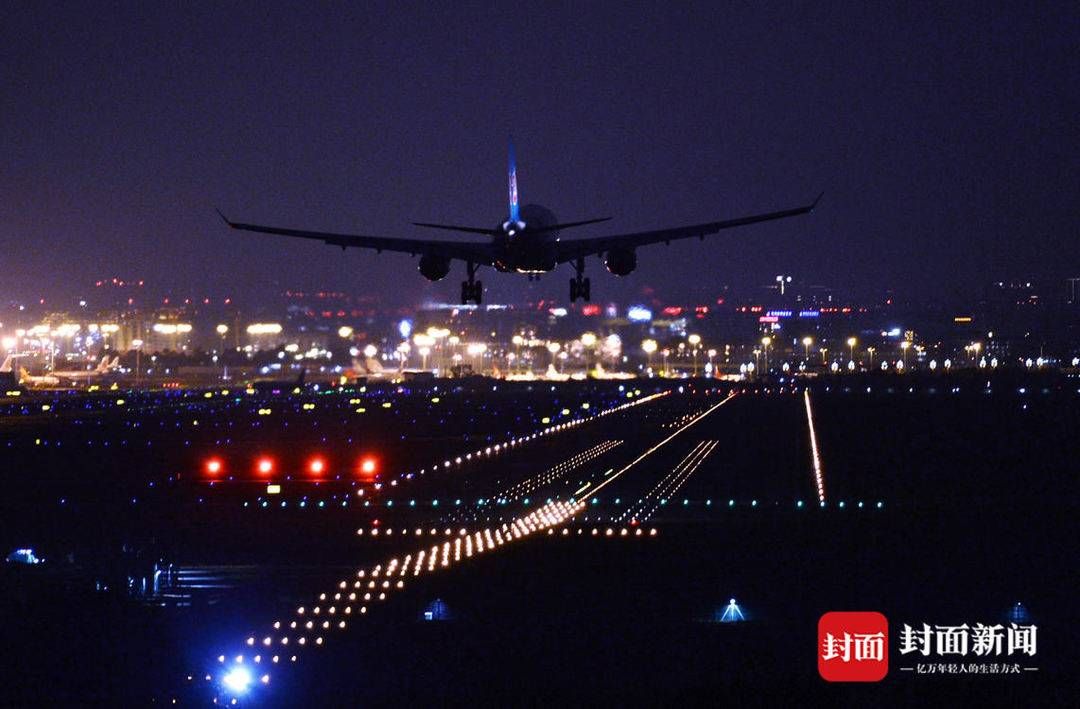 空港|空港花田上新 飞机彩灯相伴回家路