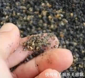 九蒸九|秋天做好这3点，把阳气收得紧紧实实，整个冬天不亏虚！