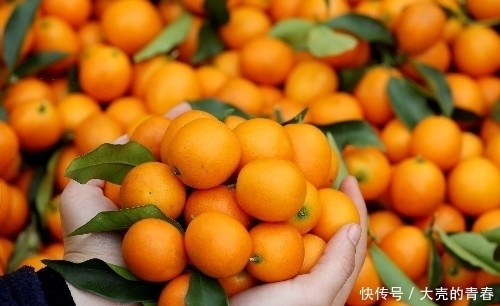 晚上当零食吃几颗,一个月下来,消炎杀菌,止咳化痰,冬天不咳嗽