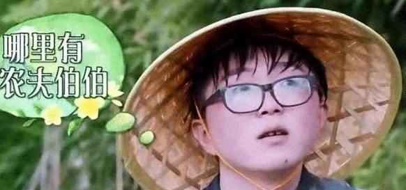 向往的生活最令人反感的一位嘉宾,录节目全程抽烟,整一期黄磊都没搭理他