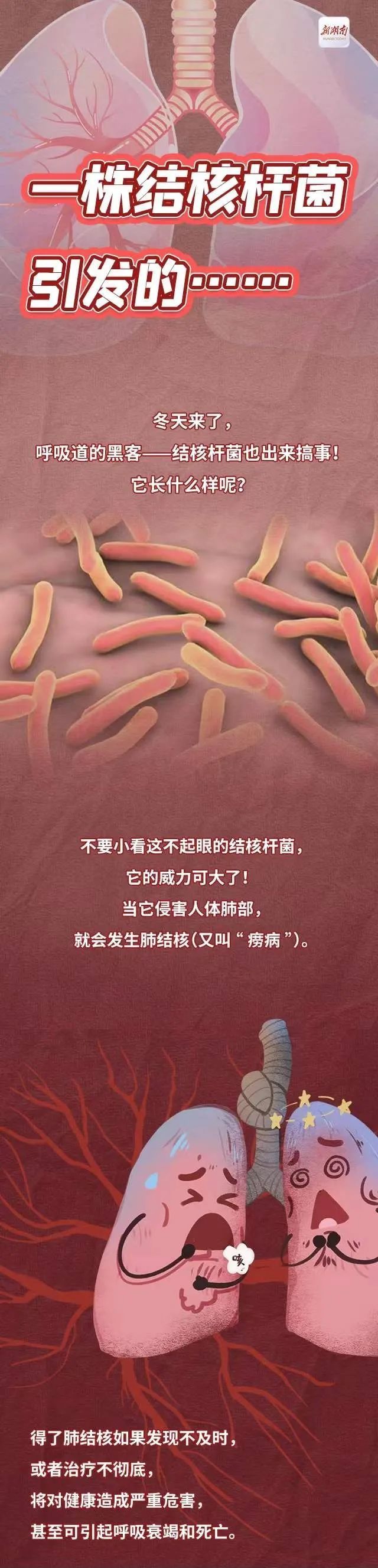 结核杆菌|【健康科普】一图读懂:冬天来了,一株结核杆菌引发的……