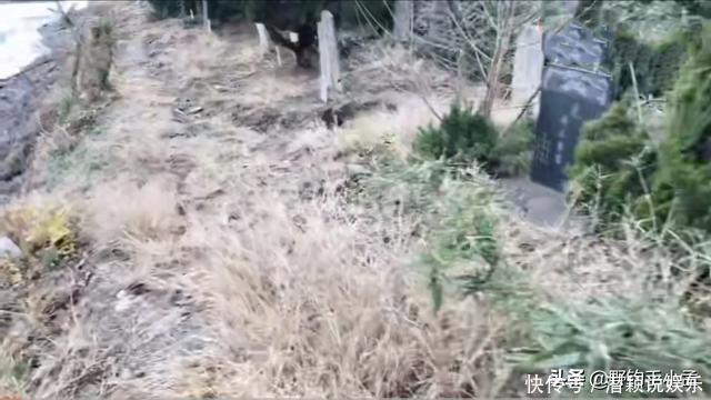 为什么很多钓友拒绝夜钓?怕鬼!其实这几点才是钓友害怕的