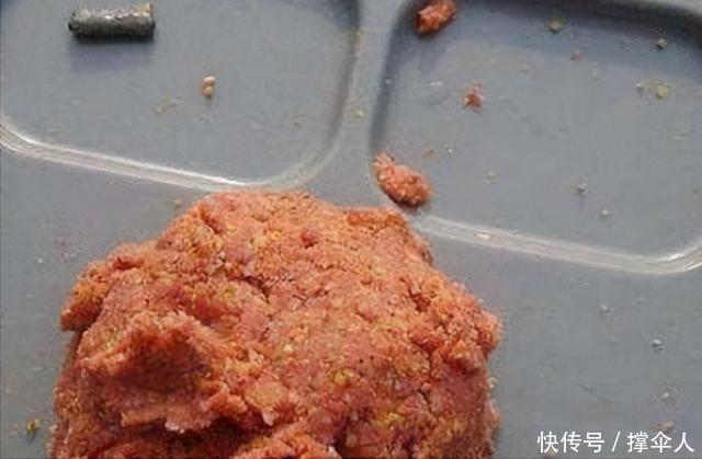 饵料|除了单打独斗,蓝鲫搭配这几种饵料,渔获能翻倍,皇禾渔具