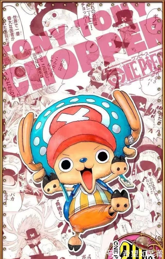 战斗员|《海贼王》里面草帽一行人实力设定是不是太弱了