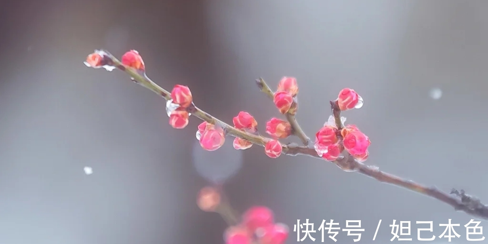 满庭芳&秦观一首兼具音韵美、诗意佳、画境幽的压卷小令,读之如飞花入梦