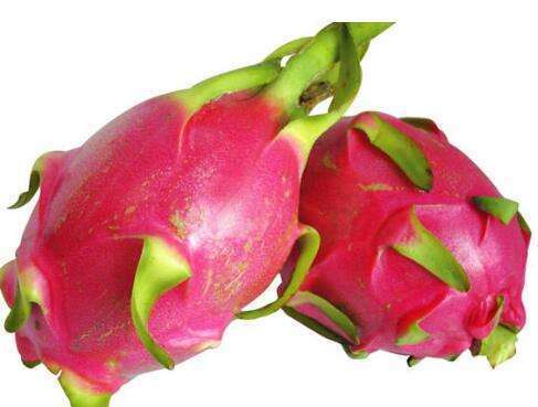 火龙果皮|吃火龙果皮好处多多，但不是人人都适合，此类人吃了对身体不好