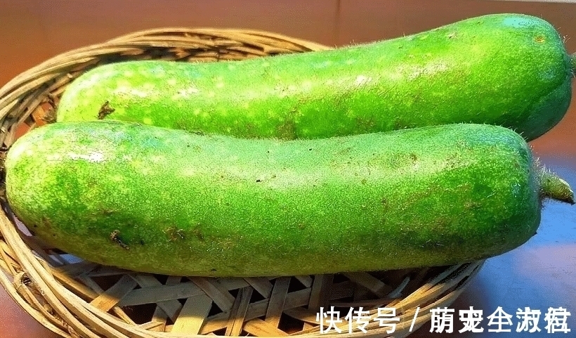 丝瓜|“夏吃瓜、身体棒”,入夏后多吃这6种瓜,忌食1种“毒瓜”,健康度夏