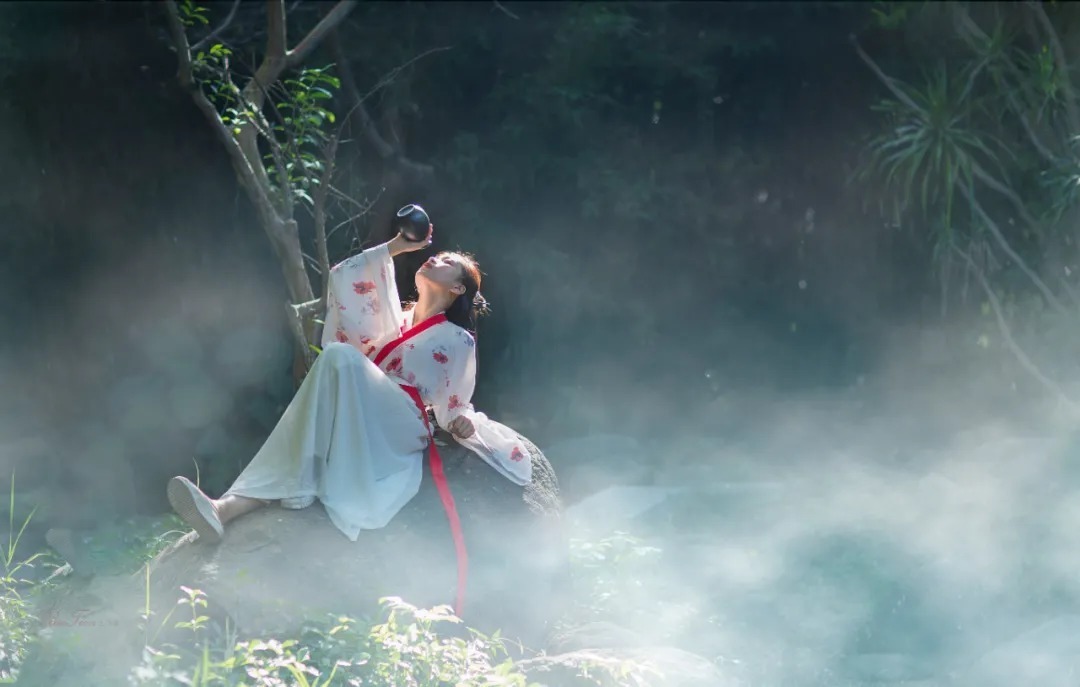 鹧鸪天|12句动人心魄的诗词,千古绝唱的美!