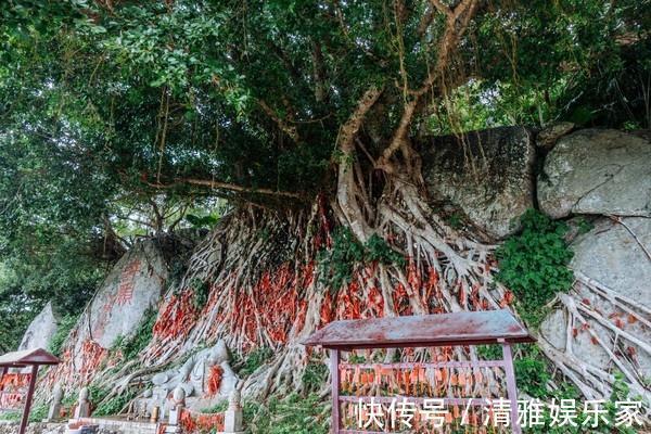 菜鸟|广东这个地方菜鸟也可以抓龙虾，夜潜的魅力居然这么大！