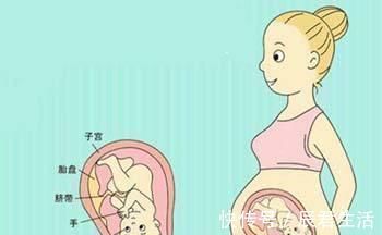 骨盆|顺产时,宝宝是靠自己的力气爬出来的,还是妈妈挤出来的